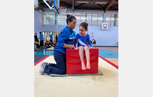 Organigramme Challenges des Vaillants Arvernes d'Aulnat